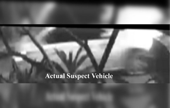 LAPD Seeks Information on Fatal Hit-and-Run in Los Angeles, Reward Offered for Leads