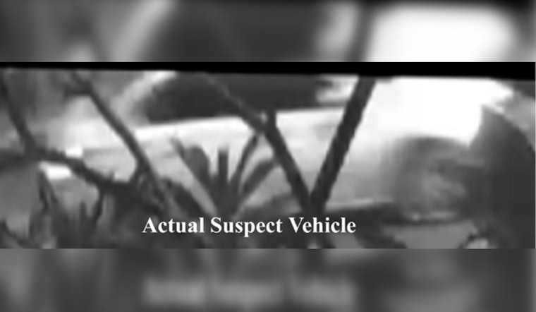 LAPD Seeks Information on Fatal Hit-and-Run in Los Angeles, Reward Offered for Leads