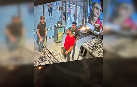 Law Enforcement Seeks Public's Help to ID Suspects in Sunglass Theft in Hempstead Road Shop