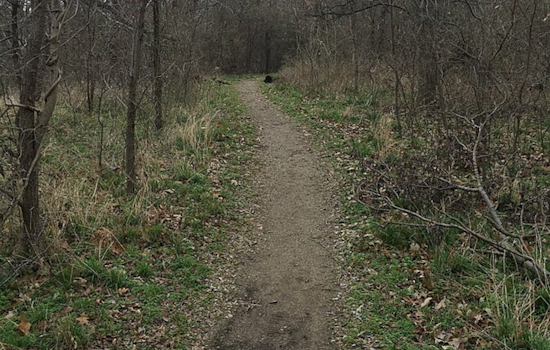 Lewisville Lake Environmental Learning Area Partially Reopens Trails Post Severe Weather Damage
