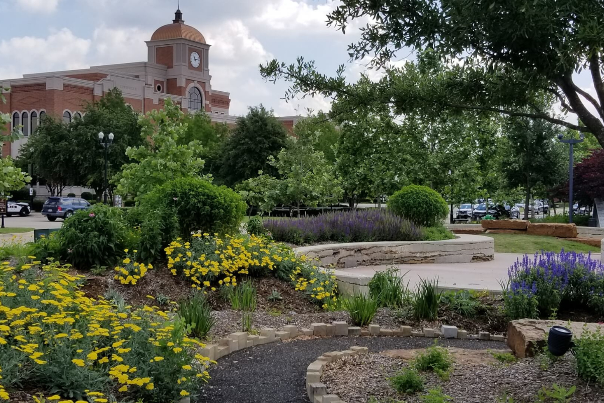 Lewisville Launches Storm Debris Cleanup Operations, Special