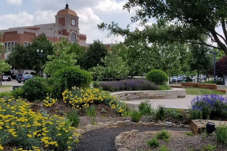 Lewisville Launches Storm Debris Cleanup Operations, Special Collection Schedule Announced
