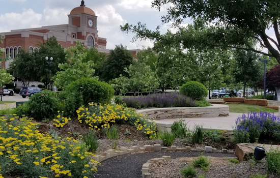 Lewisville Launches Storm Debris Cleanup Operations, Special Collection Schedule Announced