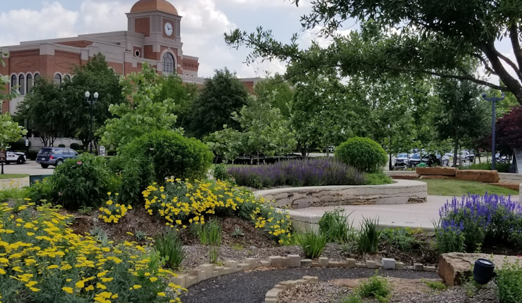 Lewisville Launches Storm Debris Cleanup Operations, Special Collection Schedule Announced