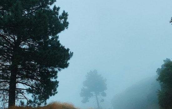 Los Angeles Braces for Week of Morning Fog and Sunny Afternoons, National Weather Service Reports