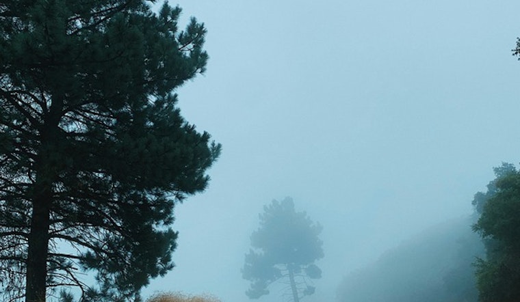 Los Angeles Braces for Week of Morning Fog and Sunny Afternoons, National Weather Service Reports