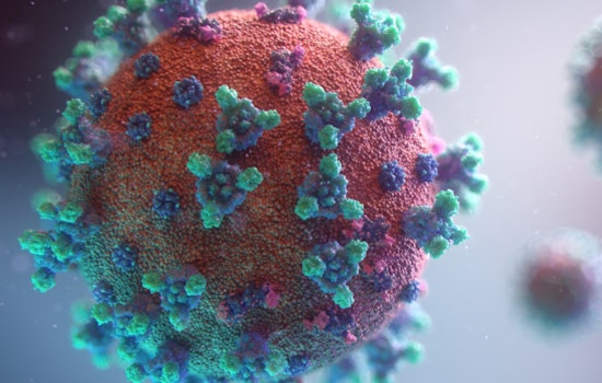 Los Angeles County Responds to Hepatitis A Outbreak in Homeless Communities with Free Vaccines