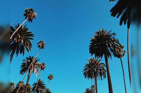 Los Angeles Forecast includes Patchy Drizzle with Gradual Sunshine Through The Week
