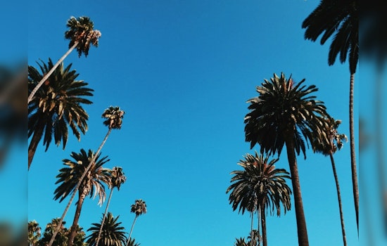 Los Angeles Forecast includes Patchy Drizzle with Gradual Sunshine Through The Week