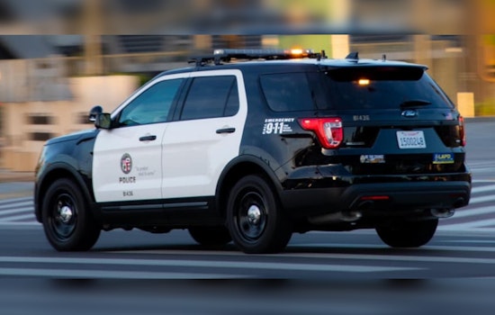 Los Angeles Man Arrested for Alleged Hollywood Boulevard Assault Caught on Video