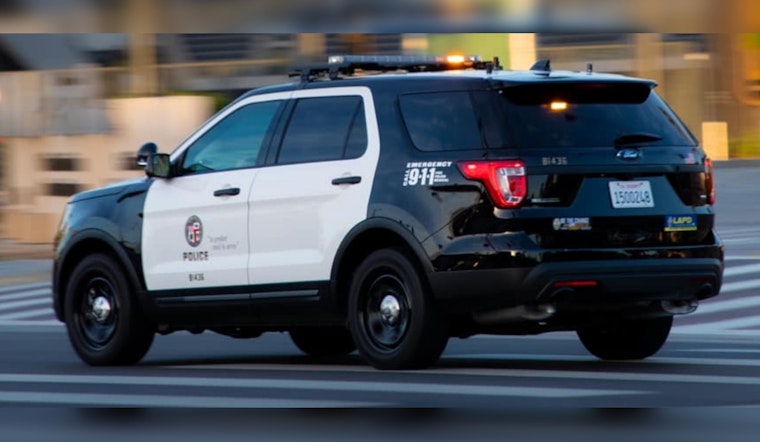 Los Angeles Man Arrested for Alleged Hollywood Boulevard Assault Caught on Video