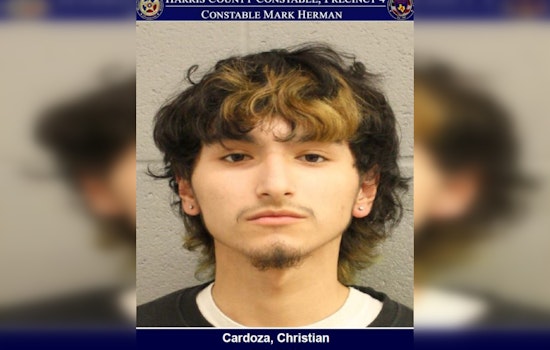 Man Charged with Theft After Alleged $400 Shoplifting Incident at Target in Harris County