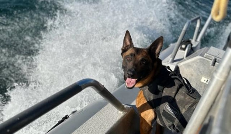 Maricopa County Sheriff's Office Mourns Loss of K-9 Kimbo to Medical Condition 'Bloat'