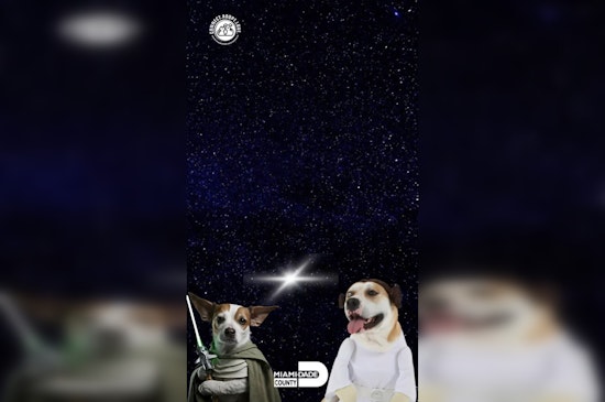 "May the 4th: Adoption is the Way" – Miami Cheers Star Wars Day with Cosmic Pet Adoption Bash