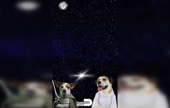 "May the 4th: Adoption is the Way" – Miami Cheers Star Wars Day with Cosmic Pet Adoption Bash