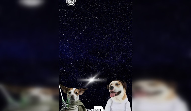 "May the 4th: Adoption is the Way" – Miami Cheers Star Wars Day with Cosmic Pet Adoption Bash