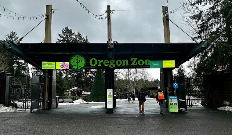Meet Berry: Oregon Zoo Welcomes New Six-Year-Old Sloth to Lush Rainforest Habitat