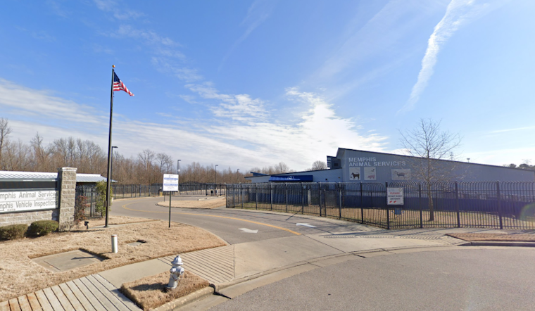 Memphis Animal Services Reopens Following Canine Virus Outbreak, Waives Adoption Fees to Encourage Pet Adoption