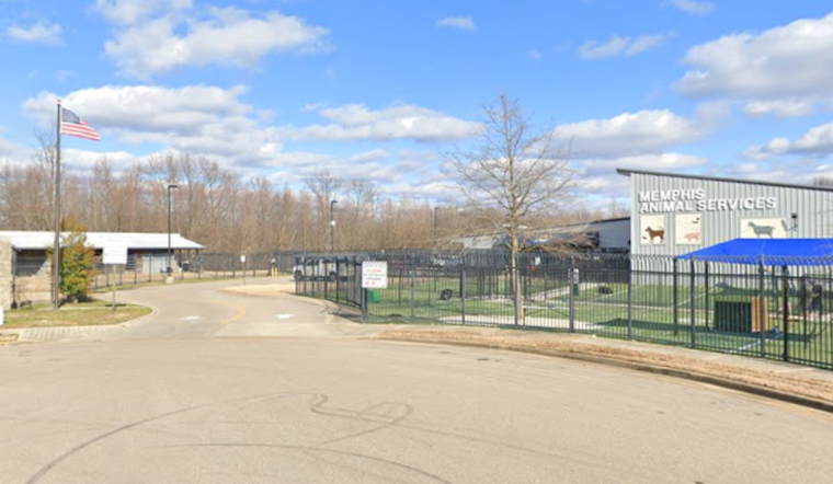 Memphis Animal Services to Close Temporarily for HVAC Maintenance, Affecting Adoptions and Services