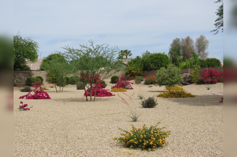 Mesa Encourages Efficient Watering Habits Amid Rising Temperatures, Offers Incentives for Drought-Friendly Landscapes