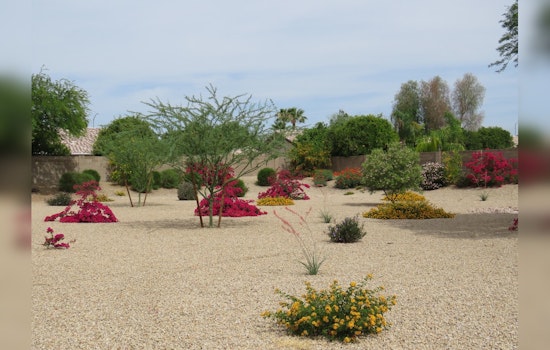 Mesa Encourages Efficient Watering Habits Amid Rising Temperatures, Offers Incentives for Drought-Friendly Landscapes