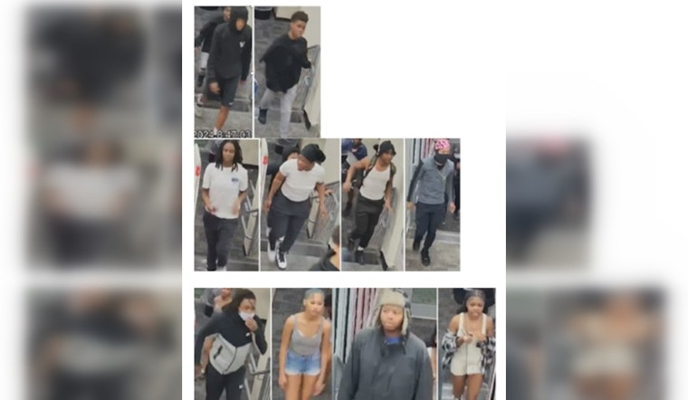 Metropolitan Police Arrest Six Youths, Pursue More After Shoplifting Spree at Southeast CVS