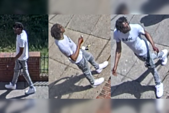 Metropolitan Police Seek Help to Identify Suspects in Southeast D.C. Carjacking