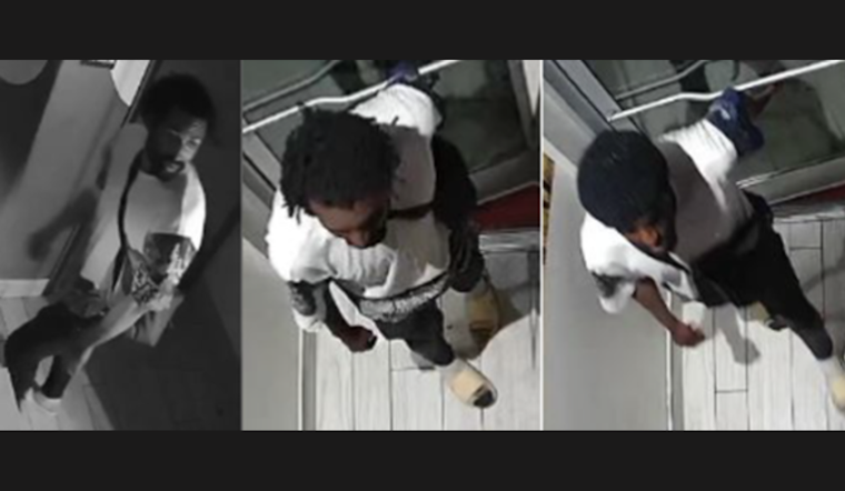 Metropolitan Police Seek Public's Assistance in Identifying Suspect in Northwest Washington D.C. Burglary