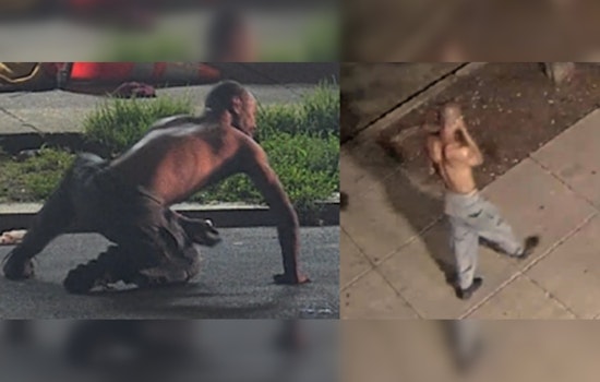 Metropolitan Police Seek Suspect in Northwest D.C. Stabbing, Offer $1,000 Reward
