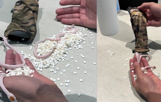 Miami Airport Turns Into Noah's Ark, TSA Finds Snakes Stashed in Passenger's Pants