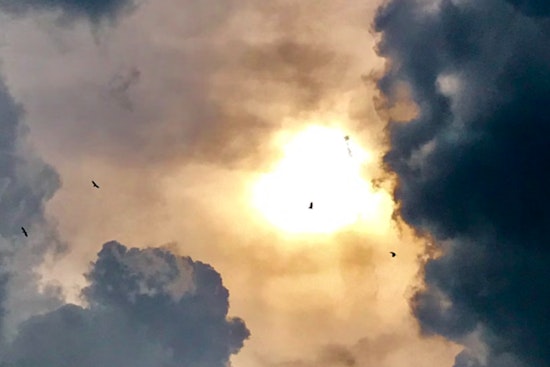 Miami Braces for Toasty Holiday Weekend with Highs in the 90s and Chance of Thunderstorms