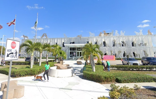 Miami-Dade Animal Services Advises on Pet Heat Safety as Summer Swelters