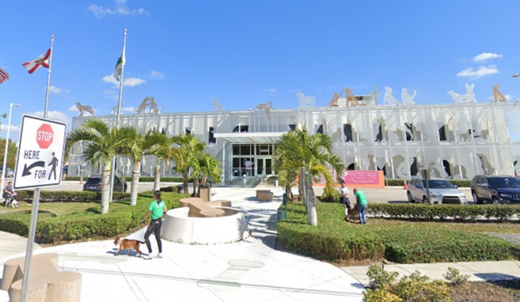 Miami-Dade Animal Services Advises on Pet Heat Safety as Summer Swelters