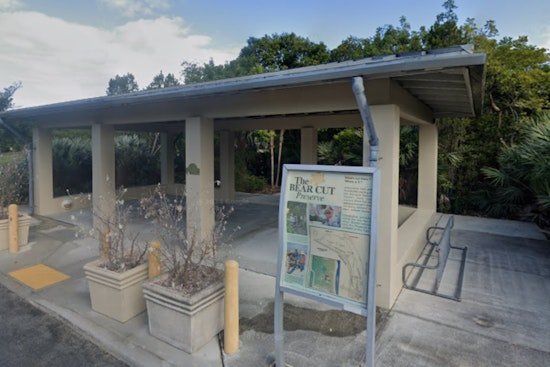 Miami-Dade Parks Hosts 2nd Annual Turtlepalooza to Spotlight Sea Turtle Conservation Efforts