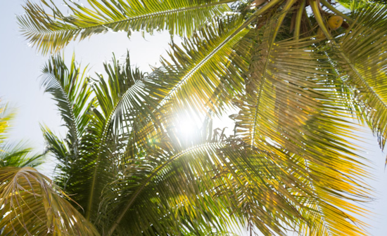 Miami Graces a Sizzling Mother's Day, Week Ahead Promises Heat and Scattered Storms