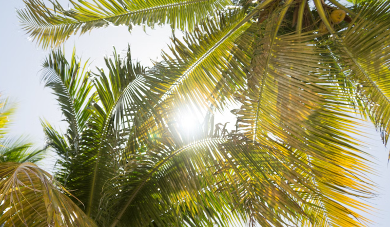 Miami Graces a Sizzling Mother's Day, Week Ahead Promises Heat and Scattered Storms