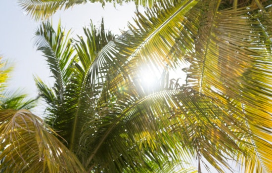 Miami on High Alert as Temperatures Soar Toward Record Highs Amidst Intense Humidity