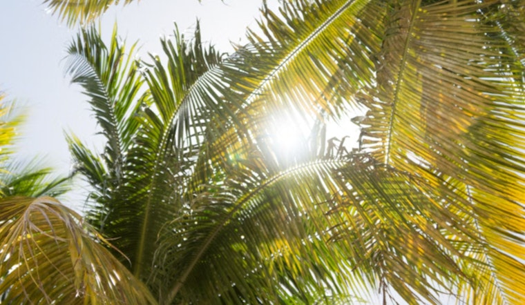 Miami on High Alert as Temperatures Soar Toward Record Highs Amidst Intense Humidity