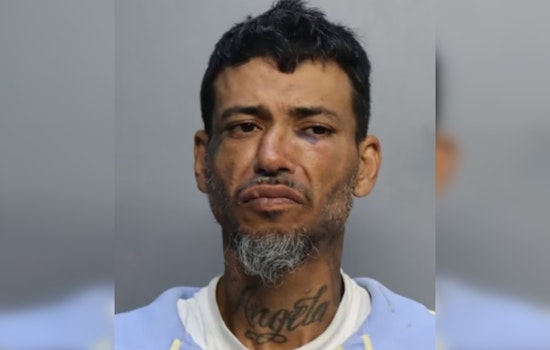 Miami Woman in High-Speed Chase Crashes Car to Nab Alleged Thief, Suspect Charged