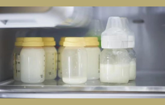 Michigan Corrections' New Leap: Incarcerated Mothers Can Now Pump and Ship Breast Milk to Babies