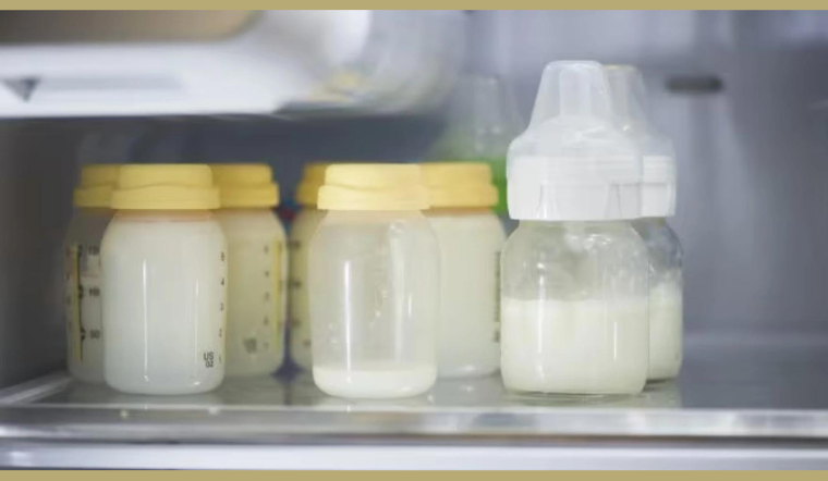 Michigan Corrections' New Leap: Incarcerated Mothers Can Now Pump and Ship Breast Milk to Babies