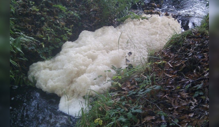Michigan Health Officials Issue Warning to Avoid Toxic PFAS Foam in Lakes and Rivers as Summer Approaches