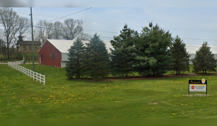 Michigan's Largest Egg Producer Herbruck's Poultry Ranch Lays Off 400 Amid Avian Flu Crisis
