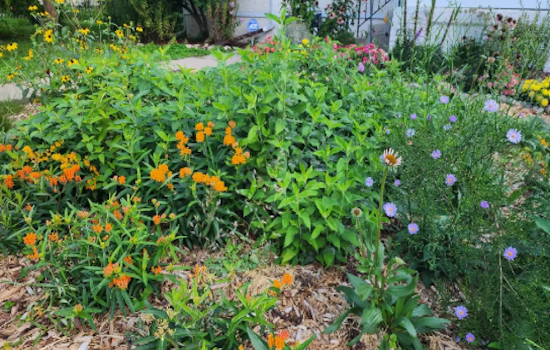 Minneapolis Whips Up Community Spirit with Gastronomic Gatherings and Green Initiatives