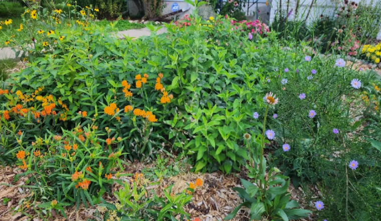 Minneapolis Whips Up Community Spirit with Gastronomic Gatherings and Green Initiatives