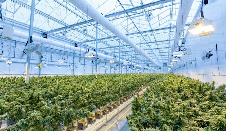 Minnesota Advances Equitable Cannabis Industry with Passage of Agency Bill, Spearheaded by Senator Lindsey Port
