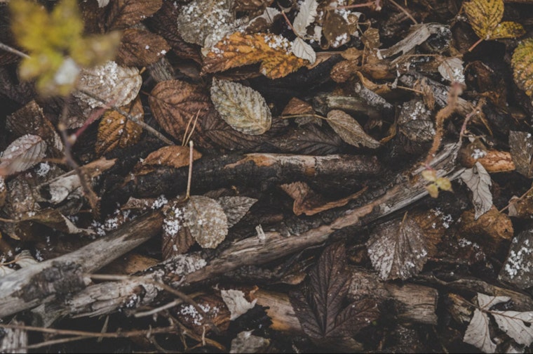 Minnetonka Limits Yard Waste Site to Residents Only, Excludes Commercial Landscapers Amid Rising Costs
