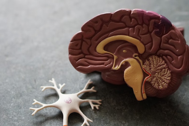 MIT Maven Breakthrough: Bio-Bright Brains! BLUsH Tech Sheds Light in Neuroscience's Murky Depths