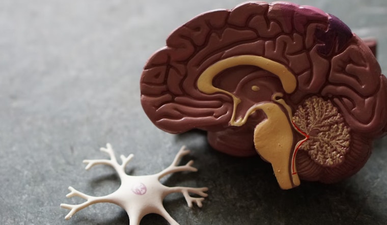 MIT Maven Breakthrough: Bio-Bright Brains! BLUsH Tech Sheds Light in Neuroscience's Murky Depths