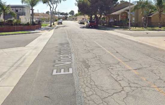 Montebello Couple Devastated After Armed Suspect Steals French Bulldog During Evening Walk